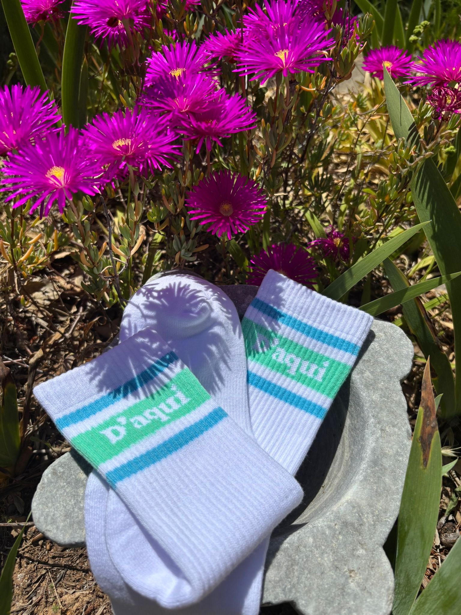 Chaussettes classiques